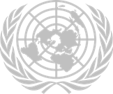 UN emblem 银色.png UN emblem 银色.png